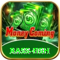 bass fish Games Plus
