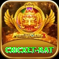 cricket bat Money Master v4.4.8