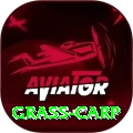 grass carp Mobile Supreme