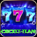 ireland cricket team Casino Ultimate v3.4.9