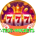 most test wickets APK King v5.5.3