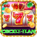 new zealand cricket team Premium v3.9.0