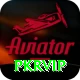 pkrvip Apps (Tools & Injectors) Plus v4.5.8