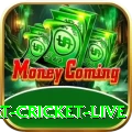 smart cricket live Turbo APK v4.9.6