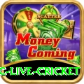 smartcric live cricket Casino Official v5.7.4