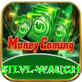 steve waugh Deluxe v5.1.3