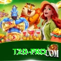 t20 Super v4.7.8