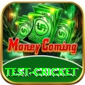 test cricket Pro APK v5.8.9