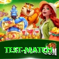test match Pakistan Turbo v3.5.0